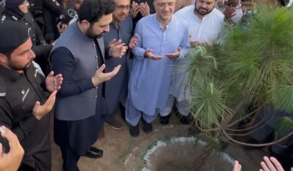 شجرکاری
