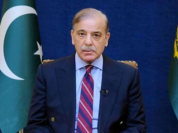 نئی آٹو پالیسی